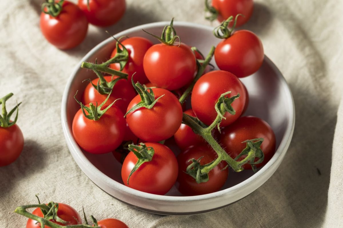 Khasiat Tomat Cherry Bagi Kesehatan